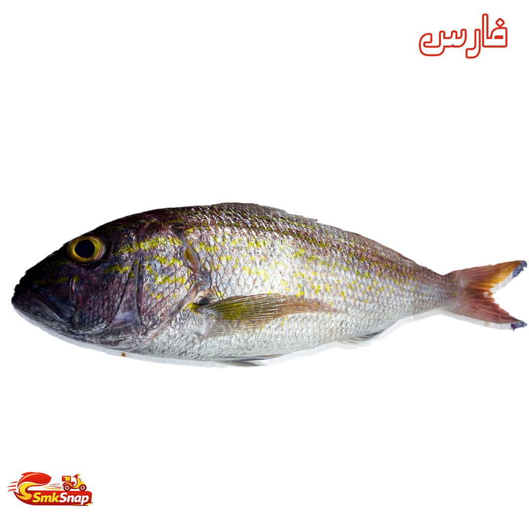 فارس