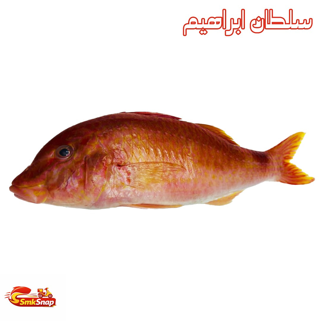 سلطان ابراهيم
