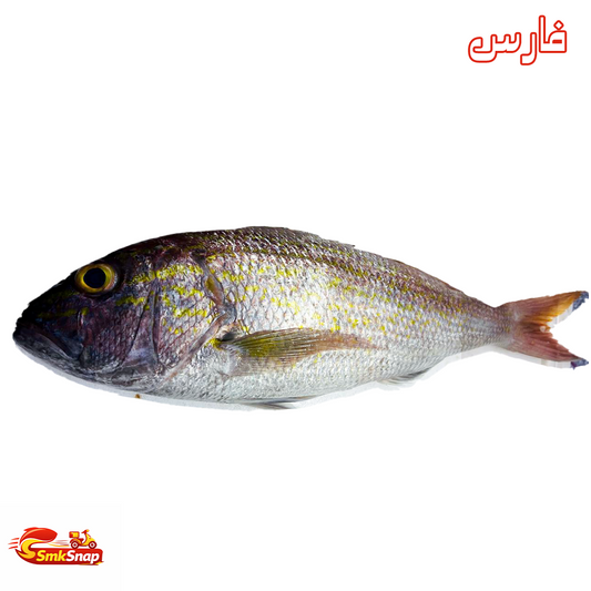 فارس