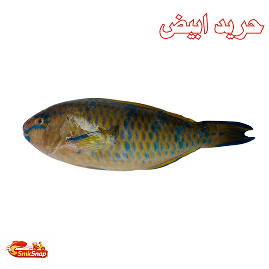 حريد ابيض