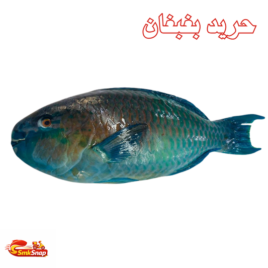 حريد بغبغان