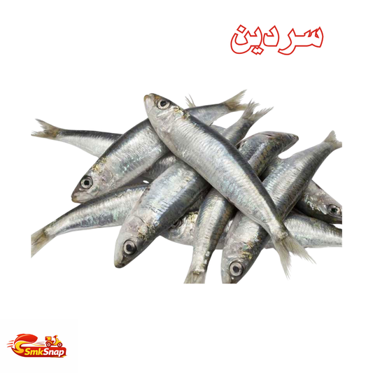 سردين