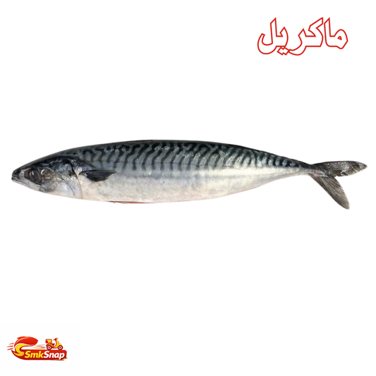 ماكريل