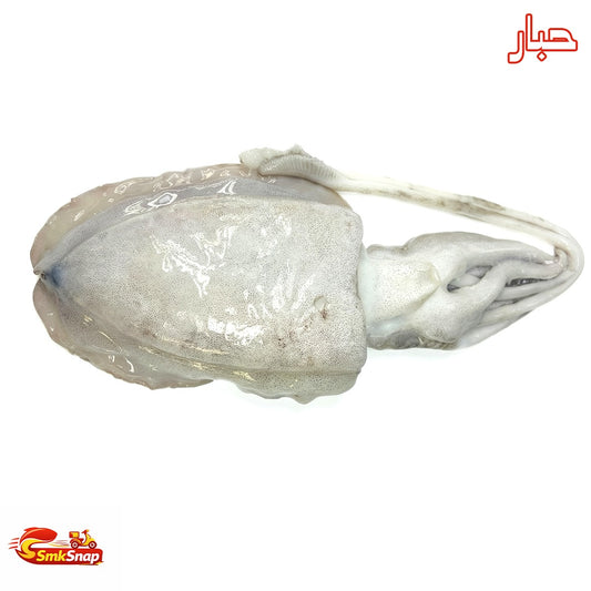 حبار