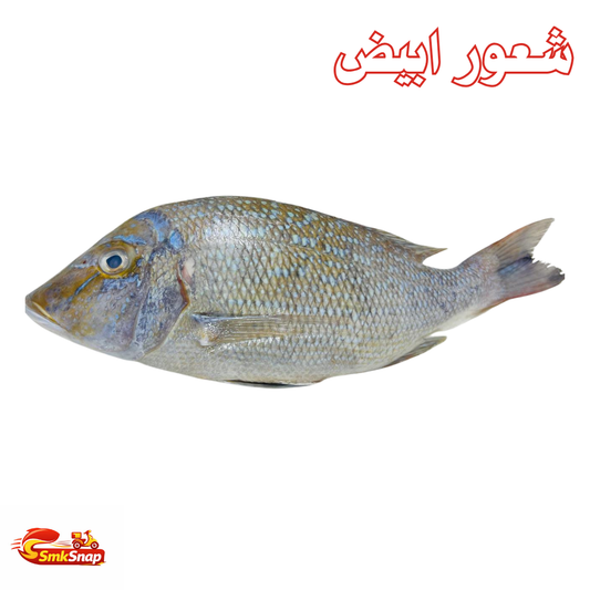 شعور ابيض